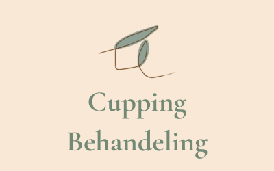 Cupping Behandeling Onder Handen Shiatsu Stoelmassage en cupping Nijmegen